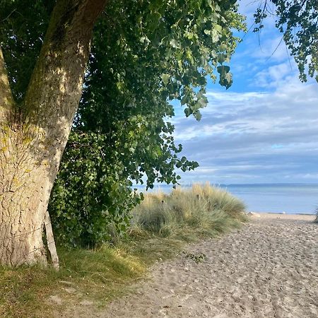 Feriendorf Südstrand Haus 40 Pelzerhaken Exterior foto